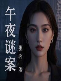 午夜谜案解说视频