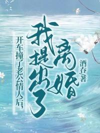 我提出了离婚怎么处理