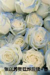 贺廷烨张以茜的背景故事