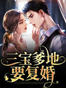 三宝找爹地傅总追妻超给力