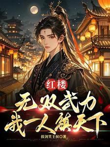 红楼无双武力我一人镇一国