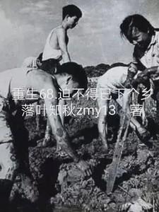 迫不得已下个乡动漫