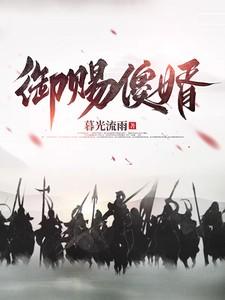 御赐傻婿燕南飞的