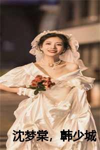 沈梦棠韩少城