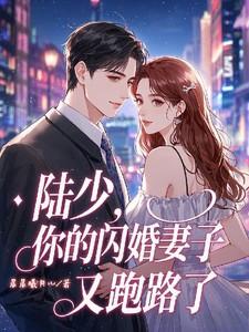 闪婚陆少的心尖宠妻全文