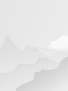 喵鲜网络科技有限公司