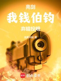 亮剑我钱伯钧弃暗投明笔趣阁