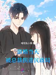 退婚当天被总裁拐进民政局最新章节更新