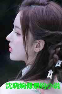 沈晓婉傅景钧全文免费阅读