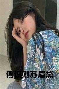 苏眉黛傅识则免费阅读