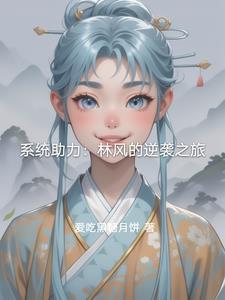 林枫系统