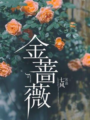 金蔷薇摩崖石刻读后感