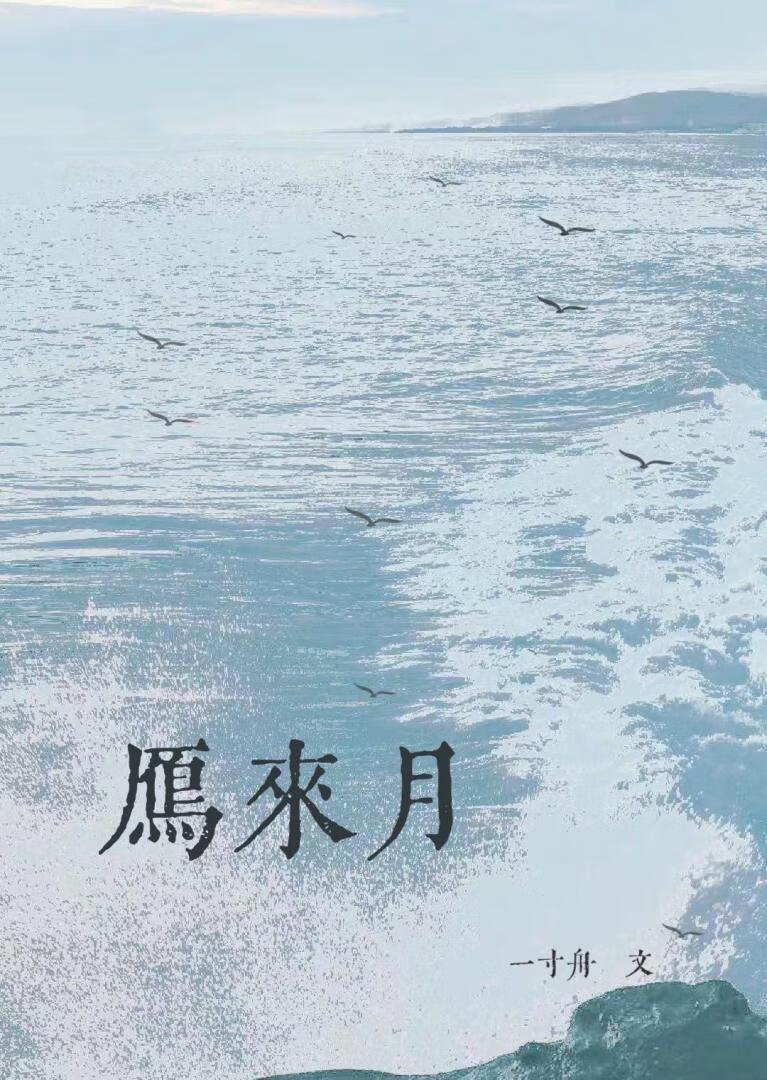 雁来月一寸舟全文免费阅读