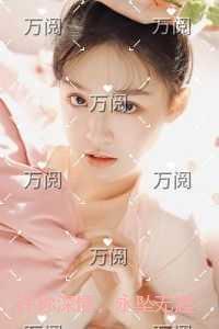 许你情深终不悔免费阅读