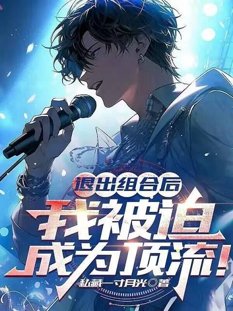 退出组合后我被迫成为顶流