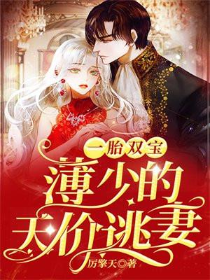 一胎双宝霸道傅少心尖宠