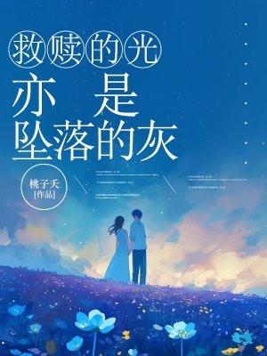 救赎的光,亦是坠落的灰