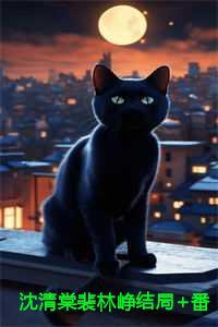 孟笙商泊禹二婚嫁律政大佬前夫孤独终老了