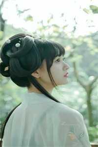 宠妾灭妻?她改嫁皇帝生皇子后续