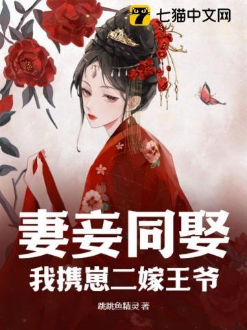 妻妾同娶?我携崽二嫁王爷
