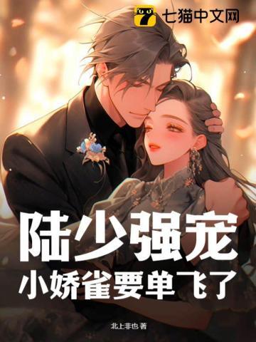 陆少强宠,小娇雀要单飞了