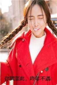 你我至此,终年不遇:苏婉司止渊番外笔趣阁