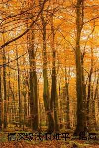 情深缘浅恨难平：结局+番外