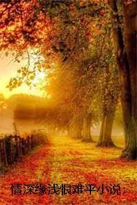 情深缘浅恨难平小说：结局+番外