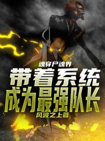 魂穿尸魂界,带着系统成为最强队长