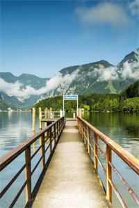 重回订婚前老公选择白月光后悔疯了