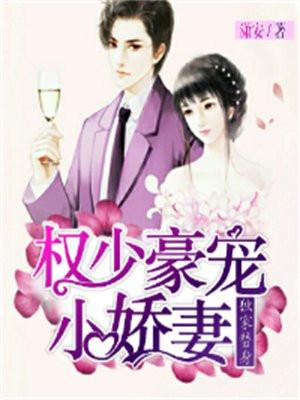 独家替身:权少豪宠小娇妻