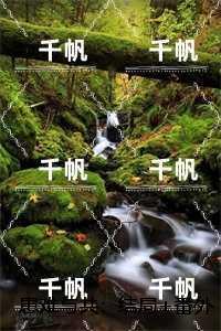 患难与共：+后续+全文