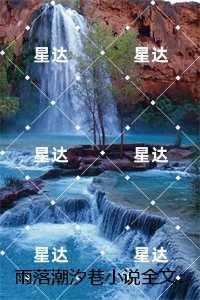 雨落潮汐巷：高质量好文