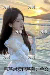 雪落时爱已落幕:强推