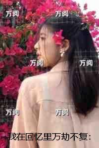 我在回忆里万劫不复：全文无删减