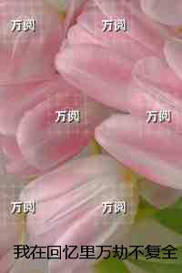 我在回忆里万劫不复:完结爽文